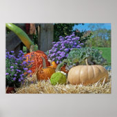 Herfst Harvest Poster (Voorkant)