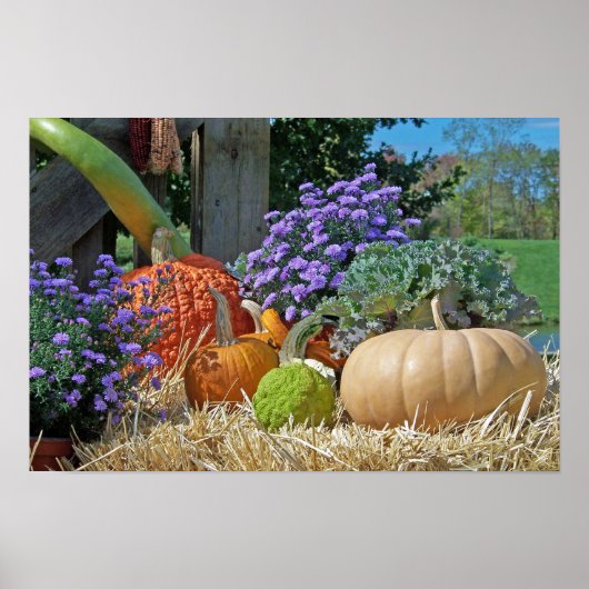 Herfst Harvest Poster (Voorkant)