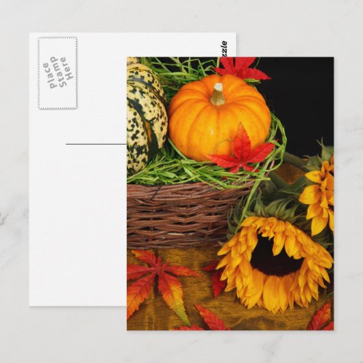 Herfst Harvest Sunflower Briefkaart (Voorkant / Achterkant)