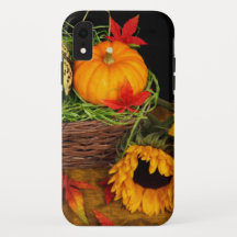 Herfst Harvest Sunflower