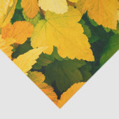 Herfst Harvest Tissuepapier (Detail)