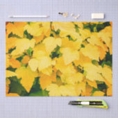 Herfst Harvest Tissuepapier (Craft)