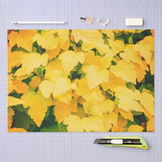 Herfst Harvest Tissuepapier (Craft)