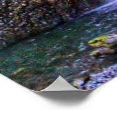 HERFST HDR - POSTER (Hoek)