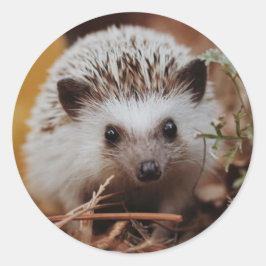 Herfst HedgeHog Sticker/Seal Ronde Sticker