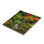 Herfst, Hemelse Watervallen Tegeltje (Zijkant)
