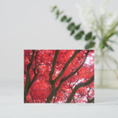 Herfst, herfst, bladeren briefkaart (Staand voorkant)