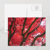 Herfst, herfst, bladeren briefkaart (Voorkant / Achterkant)