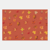 Herfst Herfst bladeren Patroon met 3 kleuren achte Inpakpapier Vel (Voorkant 3)