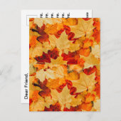 Herfst herfst bladeren Wenskaart Briefkaart (Voorkant / Achterkant)