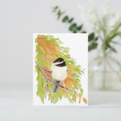 Herfst, Herfst, Chickadee, Vogel Natuur Briefkaart (Staand voorkant)