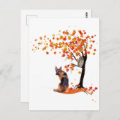 herfst herfst : Herfst - en schapenhouderij Briefkaart (Voorkant / Achterkant)