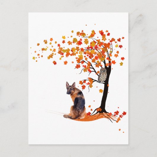 herfst herfst : Herfst - en schapenhouderij Briefkaart (Voorkant)