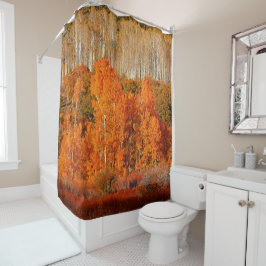 Herfst Herfst Kleur Aspens Kolob Zion Douchegordij Douchegordijn