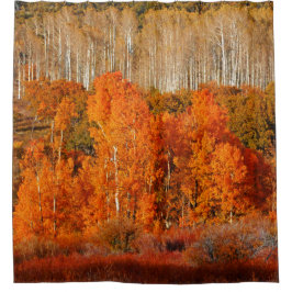 Herfst Herfst Kleur Aspens Kolob Zion Douchegordij Douchegordijn