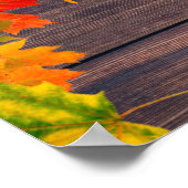 Herfst herfst lekt op Barn Wood Happy Thanksgiving Poster (Hoek)