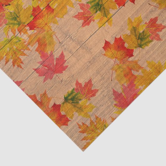 Herfst herfst maple lekt op schuurhout tissuepapier (Detail)