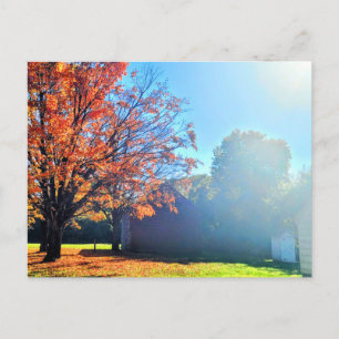 Herfst Herfst op Long Island Briefkaart