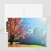 Herfst Herfst op Long Island Briefkaart (Voorkant / Achterkant)