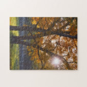 Herfst Herfst Seizoen Bomen Zonneschijn Art Puzzel (Horizontaal)