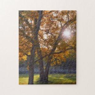 Herfst Herfst Seizoen Bomen Zonneschijn Art Puzzel
