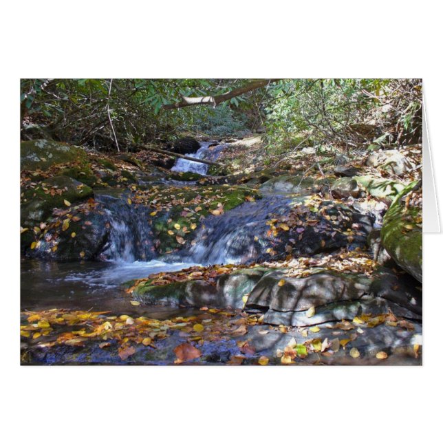 Herfst Herfsten op Fires Creek (Voorkant Horizontaal)