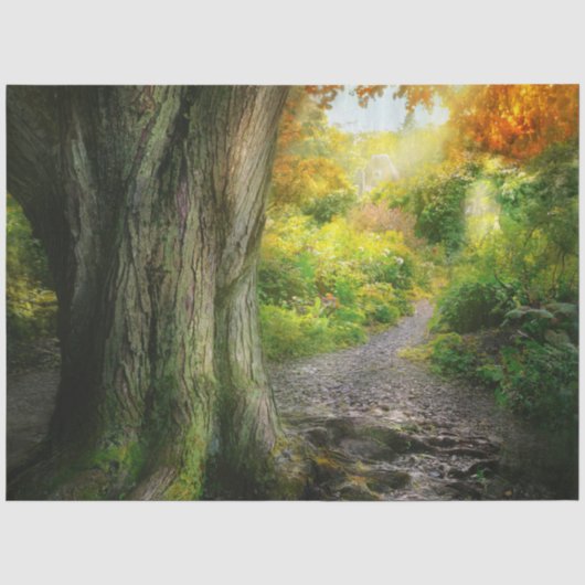 Herfst - Het pad naar oma's huis Tissuepapier (Voorkant)