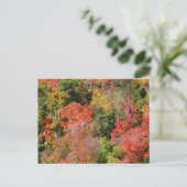 Herfst Hillside Colorful Autumn Natuur Briefkaart (Staand voorkant)