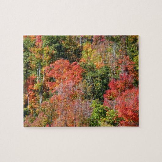 Herfst Hillside Colorful Autumn Natuur Legpuzzel (Horizontaal)