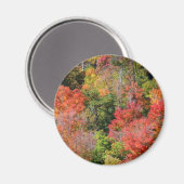 Herfst Hillside Colorful Autumn Natuur Magneet (Voorkant / Achterkant)