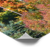 Herfst Hillside Colorful Autumn Natuur Poster (Hoek)