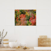 Herfst Hillside Colorful Autumn Natuur Poster (Keuken)
