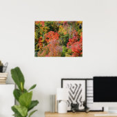 Herfst Hillside Colorful Autumn Natuur Poster (Thuiskantoor)