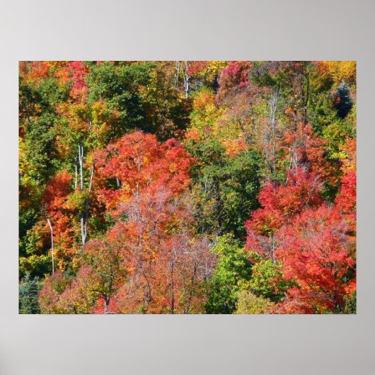Herfst Hillside Colorful Autumn Natuur Poster (Voorkant)
