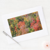 Herfst Hillside Colorful Autumn Natuur Rechthoekige Sticker (Envelop)