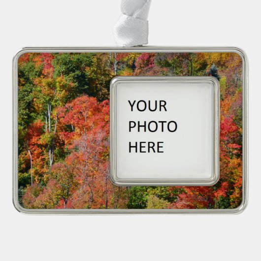 Herfst Hillside Colorful Autumn Natuur Verzilverd Omlijst Ornament (Voorkant)
