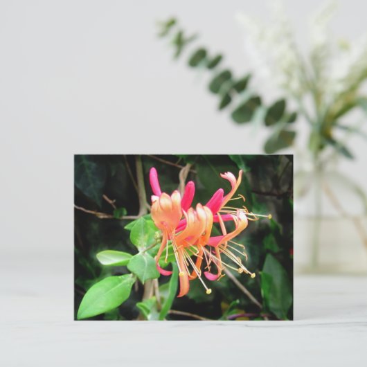 Herfst Honeysuckle ~ briefkaart (Staand voorkant)