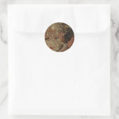 Herfst Hout Nymph Ronde Stickers (Tas)