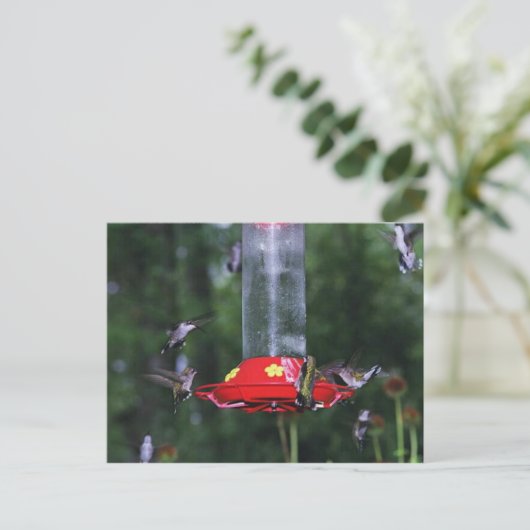 Herfst Hummingbird Migration Briefkaart (Staand voorkant)