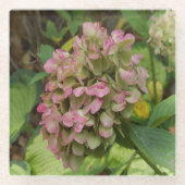 Herfst Hydrangea Bloei met Gouden Hosta Bladeren Glazen Onderzetter (Voorkant)