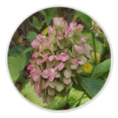 Herfst Hydrangea Bloei met Gouden Hosta Bladeren Keramische Knop (Voorkant)