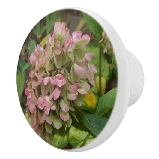 Herfst Hydrangea Bloei met Gouden Hosta Bladeren Keramische Knop (Rechts)