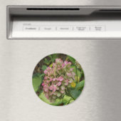 Herfst Hydrangea Bloei met Gouden Hosta Bladeren Magneet (Insitu (Vaatwasser))
