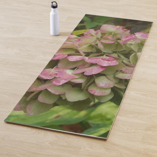 Herfst Hydrangea Bloei met Gouden Hosta Bladeren Yogamat (In situ)