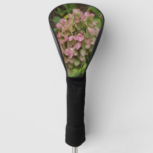 Herfst Hydrangea Bloom met Golden Hosta Leaves Golfheadcover (Voorkant)