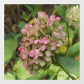 Herfst Hydrangea Bloom met Golden Hosta Leaves Raamsticker (Vel)