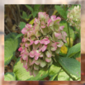 Herfst Hydrangea Bloom met Golden Hosta Leaves Raamsticker (Vel 2)