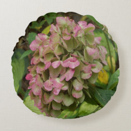 Herfst Hydrangea Bloom met Golden Hosta Leaves Rond Kussen