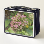 Herfst Hydrangea in bloei met Gouden Hosta-bladere (Achterkant)