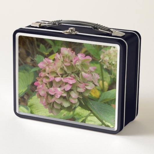 Herfst Hydrangea in bloei met Gouden Hosta-bladere (Voorkant)